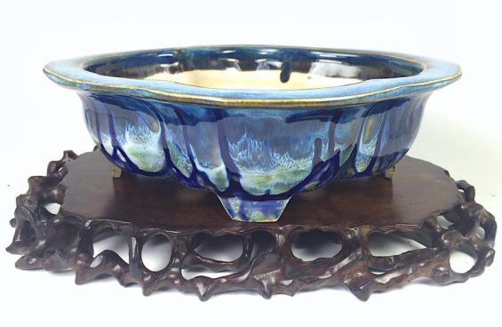 15032871_1791011747783695_8063379628259193248_n